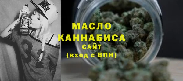 СК Ельня