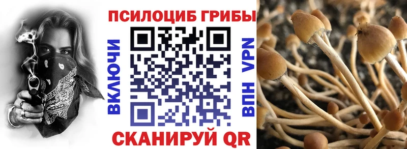 Галлюциногенные грибы Psilocybe  где продают   Сортавала 